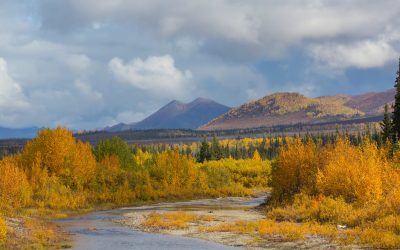 A Fall Visit to the Yukon